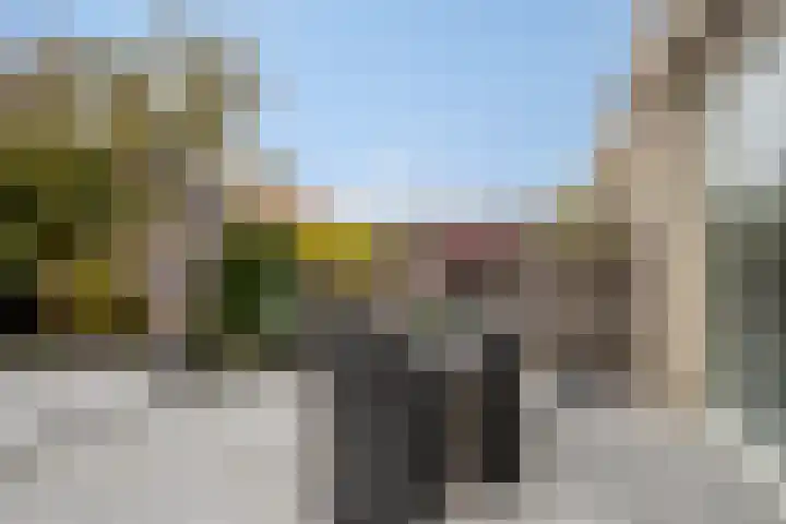 Paganinistraat 99 Capelle aan den IJssel thumbnail 15