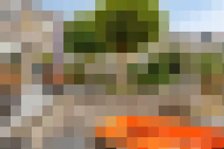 Paganinistraat 99 Capelle aan den IJssel thumbnail 16