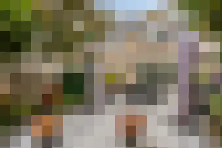 Paganinistraat 99 Capelle aan den IJssel thumbnail 18