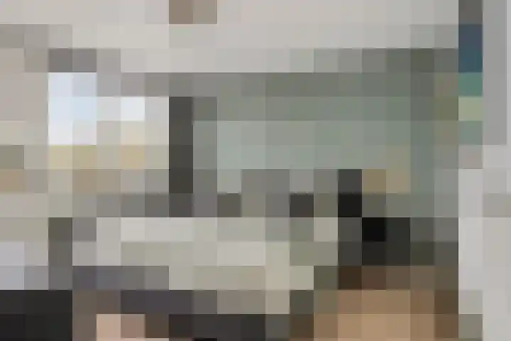 Paganinistraat 99 Capelle aan den IJssel thumbnail 20