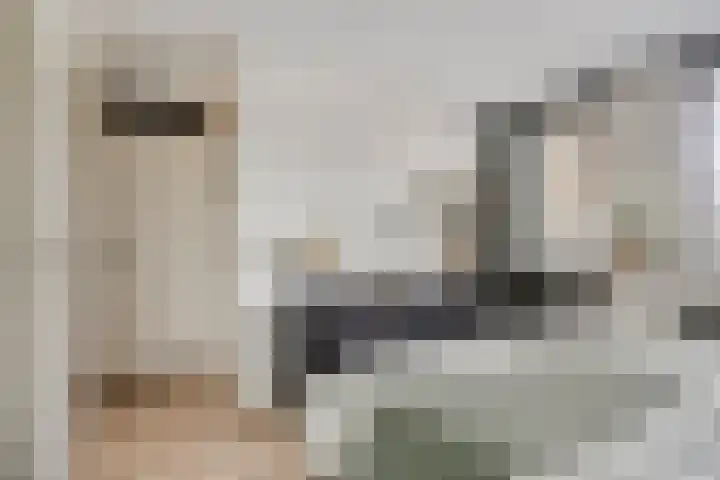 Paganinistraat 99 Capelle aan den IJssel thumbnail 21