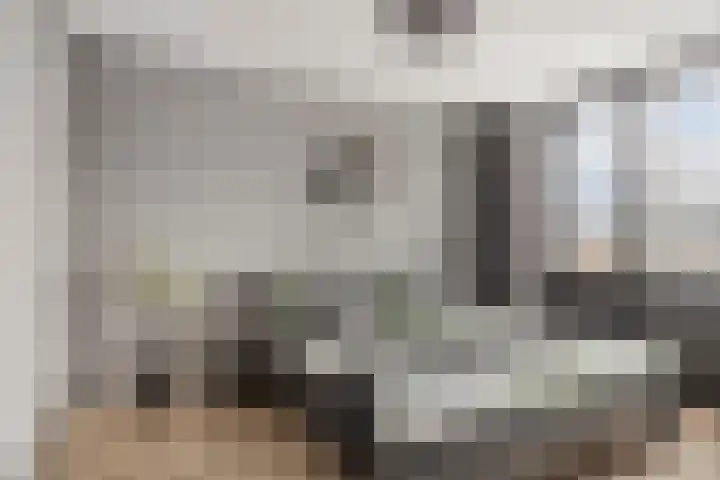 Paganinistraat 99 Capelle aan den IJssel thumbnail 22