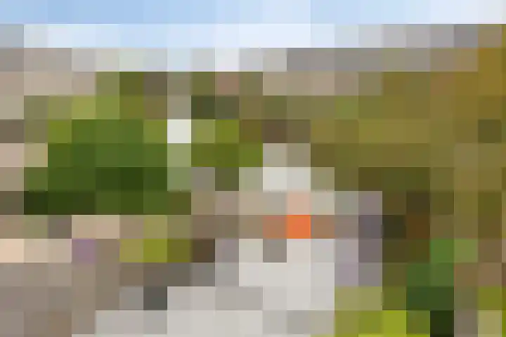 Paganinistraat 99 Capelle aan den IJssel thumbnail 26