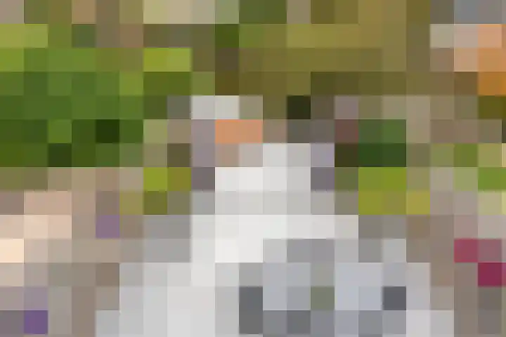 Paganinistraat 99 Capelle aan den IJssel thumbnail 27