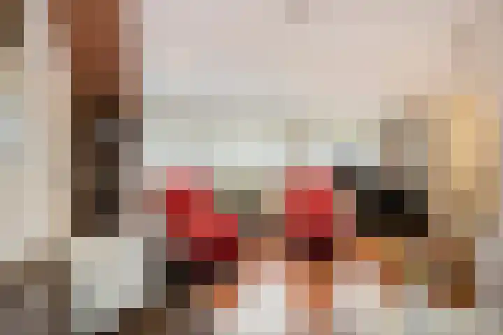 Paganinistraat 99 Capelle aan den IJssel thumbnail 33
