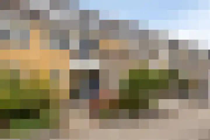 Paganinistraat 99 Capelle aan den IJssel thumbnail 5