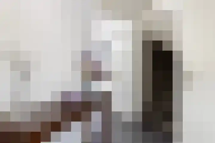 Paganinistraat 99 Capelle aan den IJssel thumbnail 7