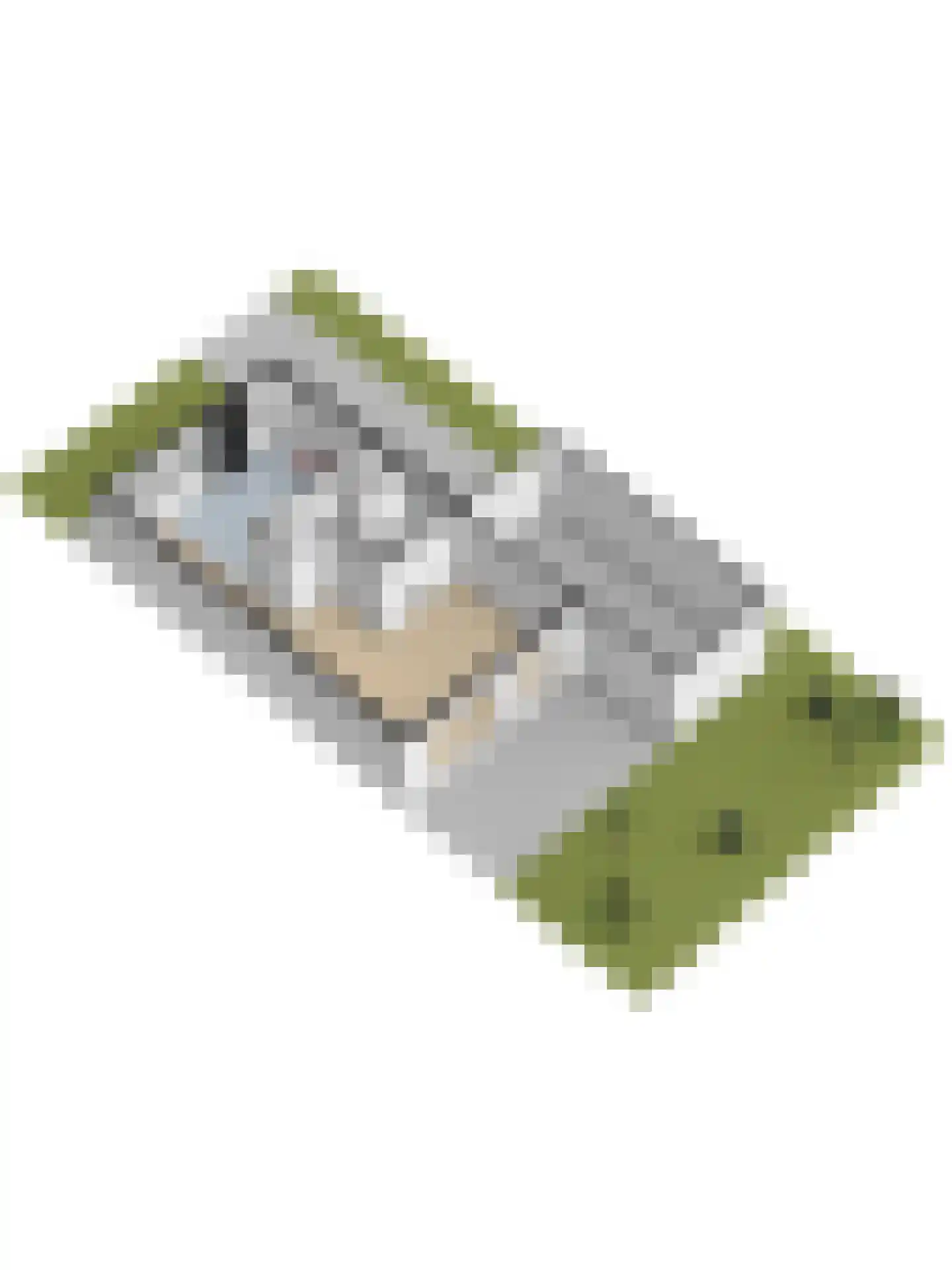 Page 1 Heerenveen thumbnail 40