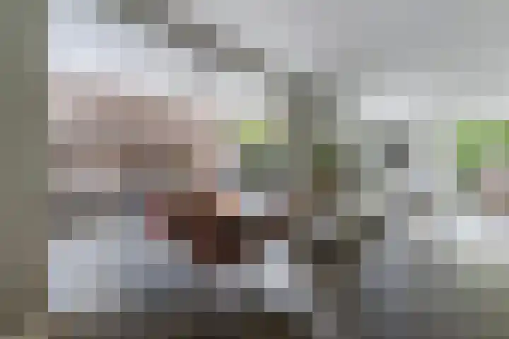 Pagenkamp 4 Eibergen thumbnail 15
