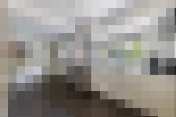 Pagenkamp 4 Eibergen thumbnail 17