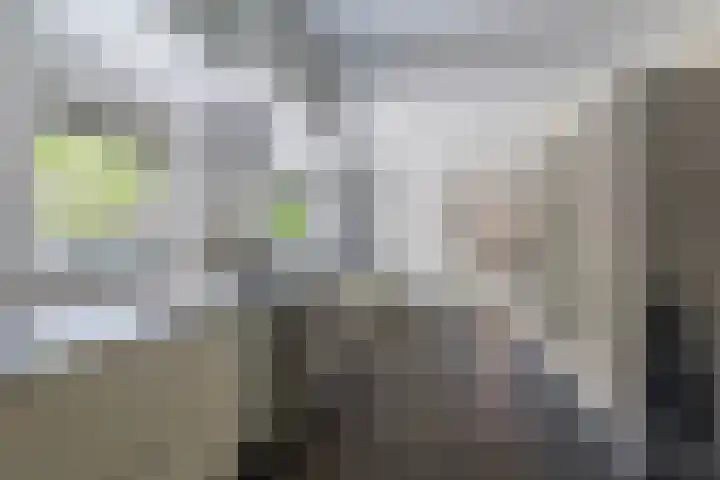 Pagenkamp 4 Eibergen thumbnail 18