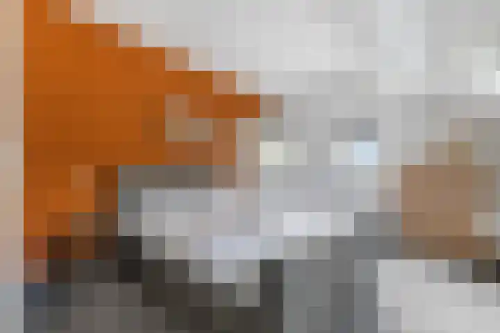 Pagenkamp 4 Eibergen thumbnail 26
