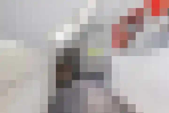 Pagenkamp 4 Eibergen thumbnail 34