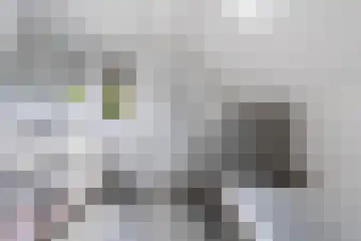 Pagenkamp 4 Eibergen thumbnail 36