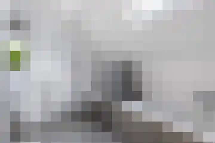 Pagenkamp 4 Eibergen thumbnail 37