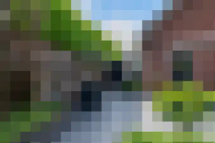 Pagenkamp 4 Eibergen thumbnail 45