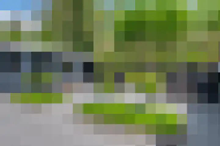 Pagenkamp 4 Eibergen thumbnail 48