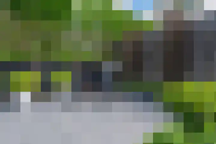 Pagenkamp 4 Eibergen thumbnail 49