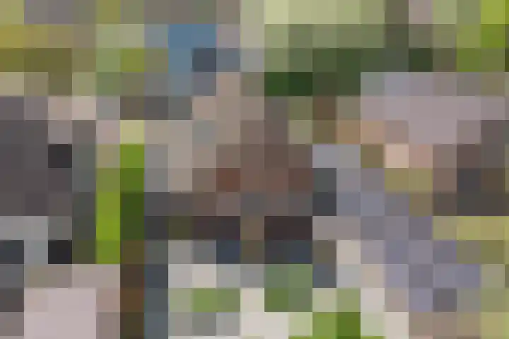 Pagenkamp 4 Eibergen thumbnail 52