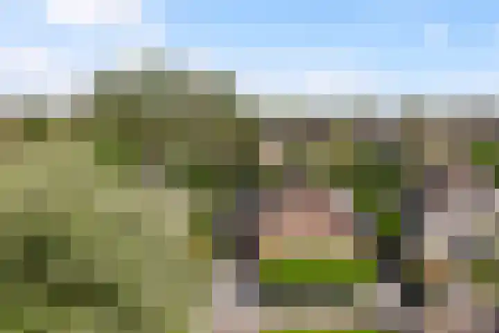 Pagenkamp 4 Eibergen thumbnail 53