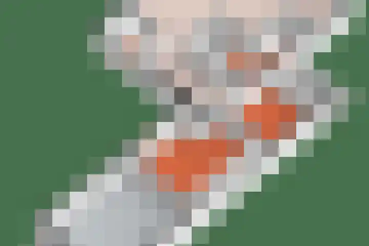 Pagenkamp 4 Eibergen thumbnail 55