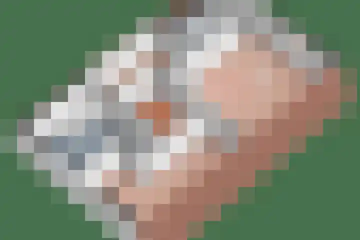 Pagenkamp 4 Eibergen thumbnail 57