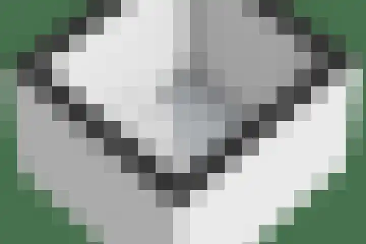 Pagenkamp 4 Eibergen thumbnail 59
