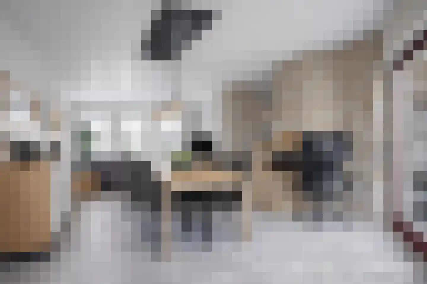 Pagenlaan 12 Limmen thumbnail 11