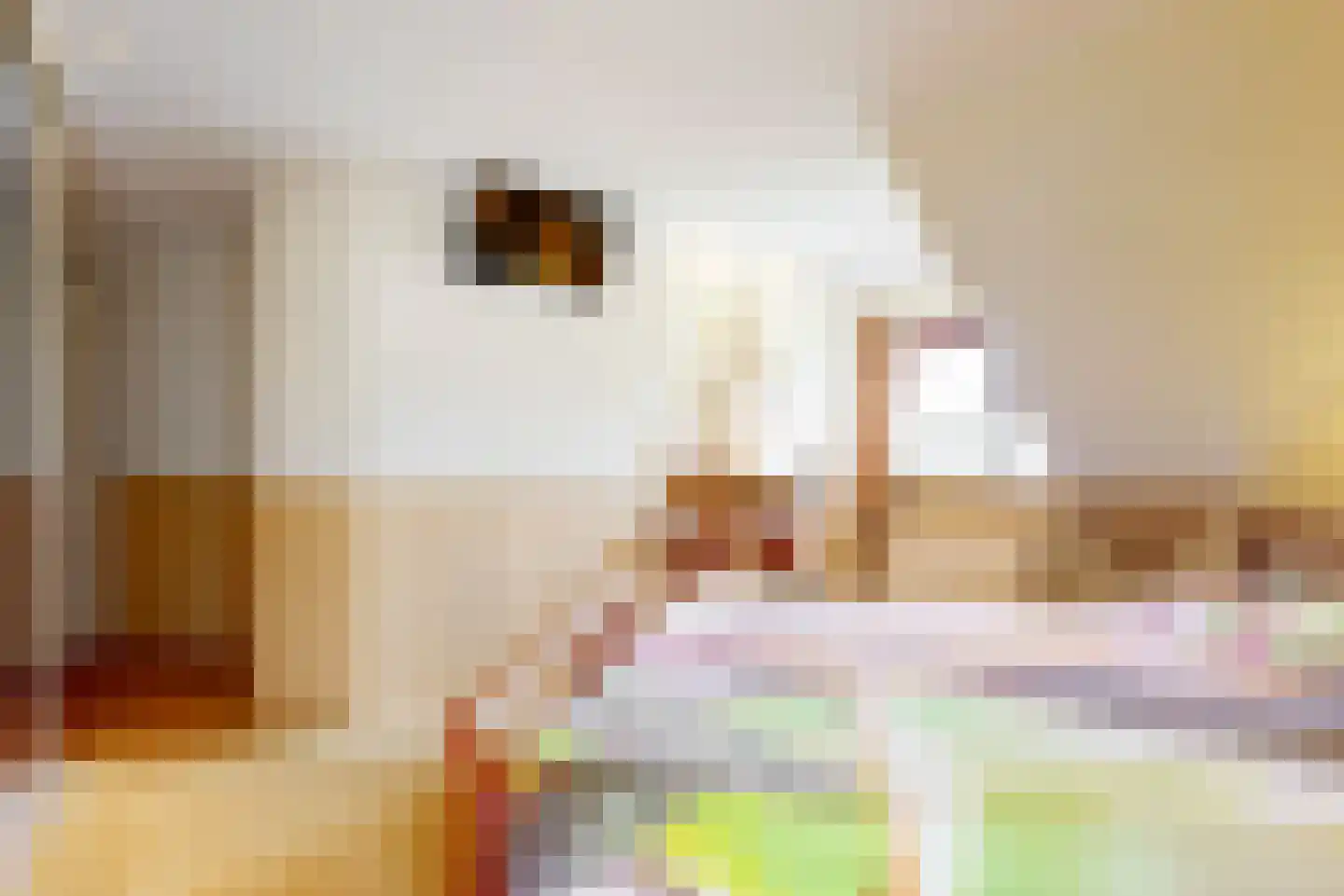 Pagenlaan 12 Limmen thumbnail 27
