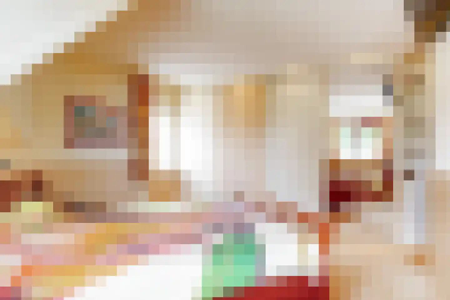 Pagenlaan 12 Limmen thumbnail 28