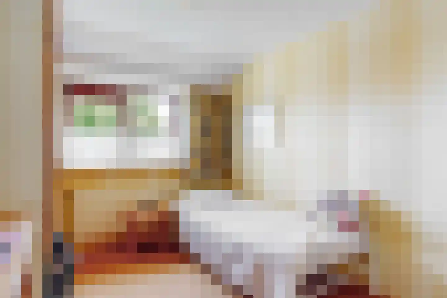 Pagenlaan 12 Limmen thumbnail 29