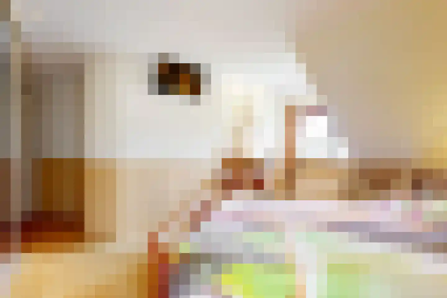 Pagenlaan 12 Limmen thumbnail 33