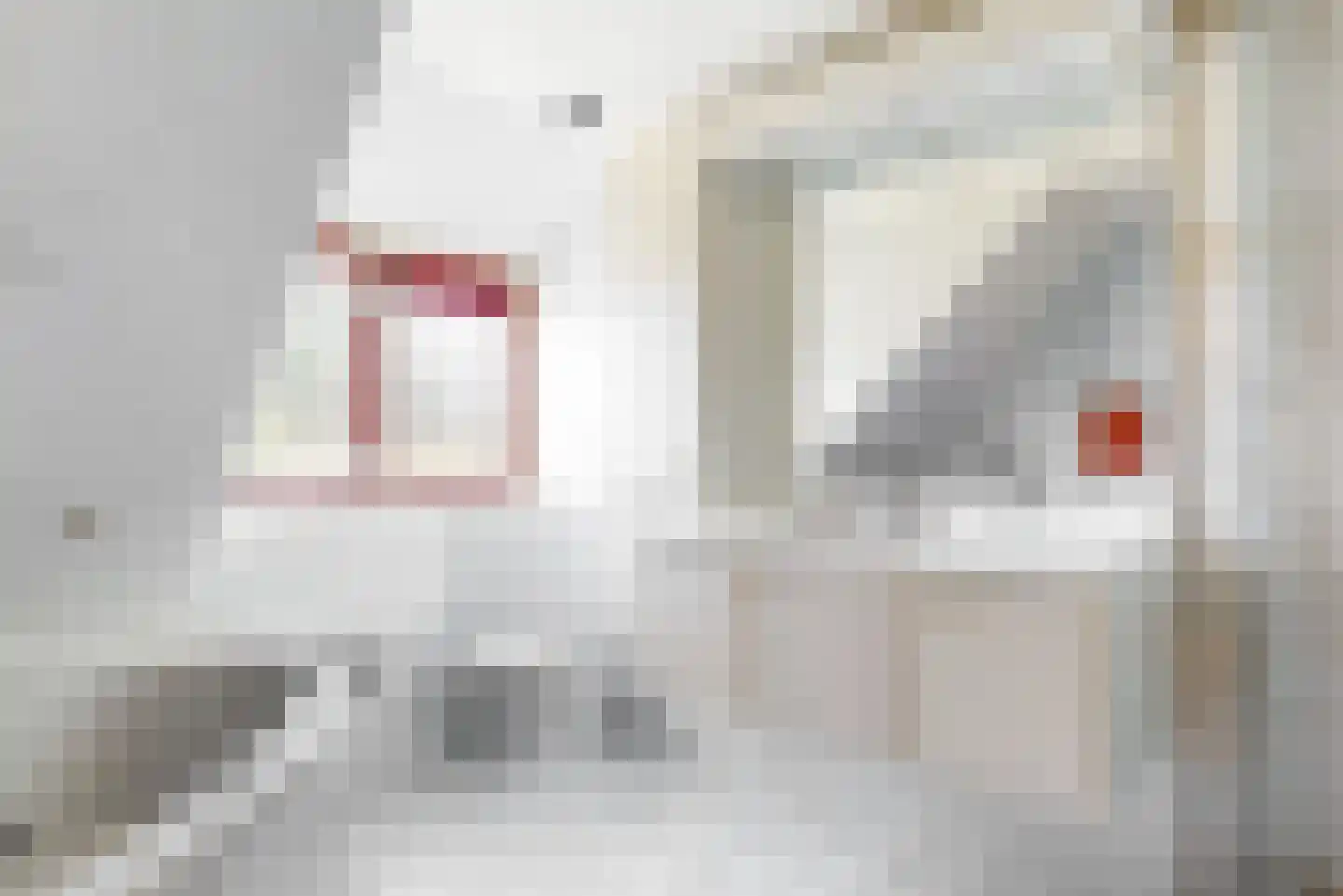 Pagenlaan 12 Limmen thumbnail 34