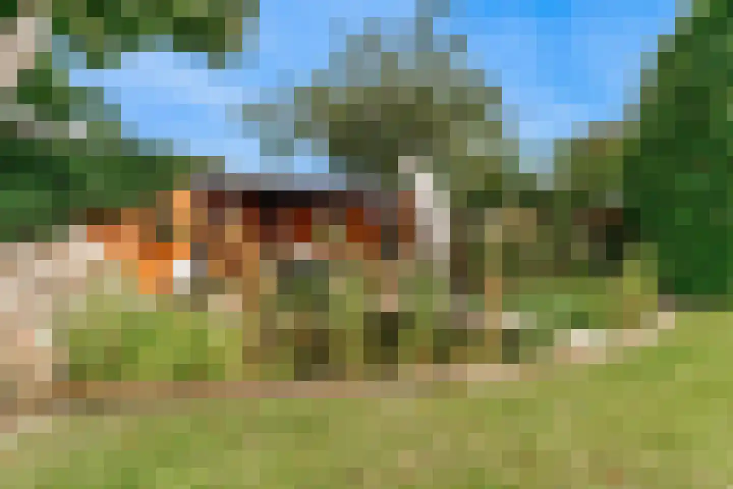 Pagenlaan 12 Limmen thumbnail 47