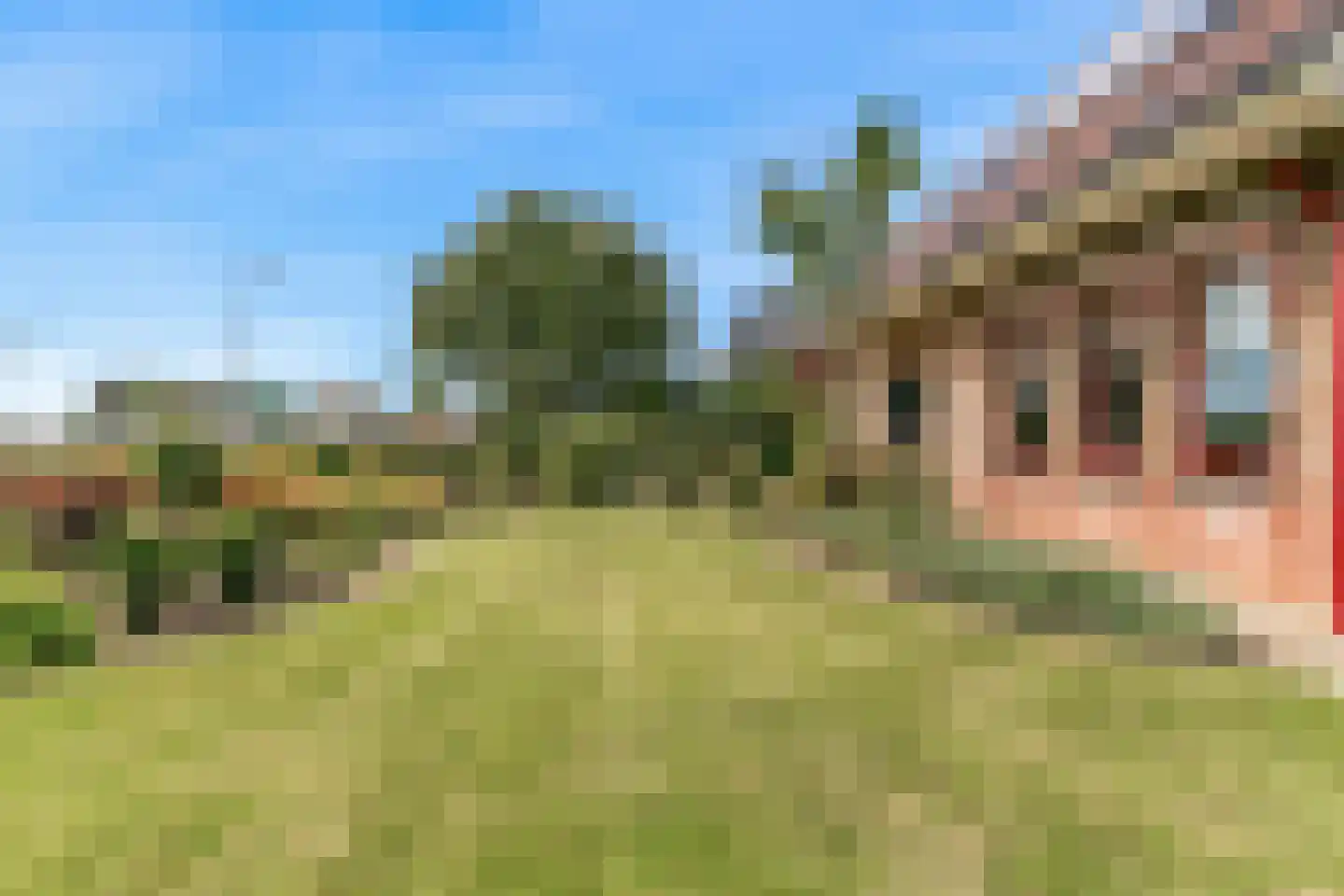 Pagenlaan 12 Limmen thumbnail 56