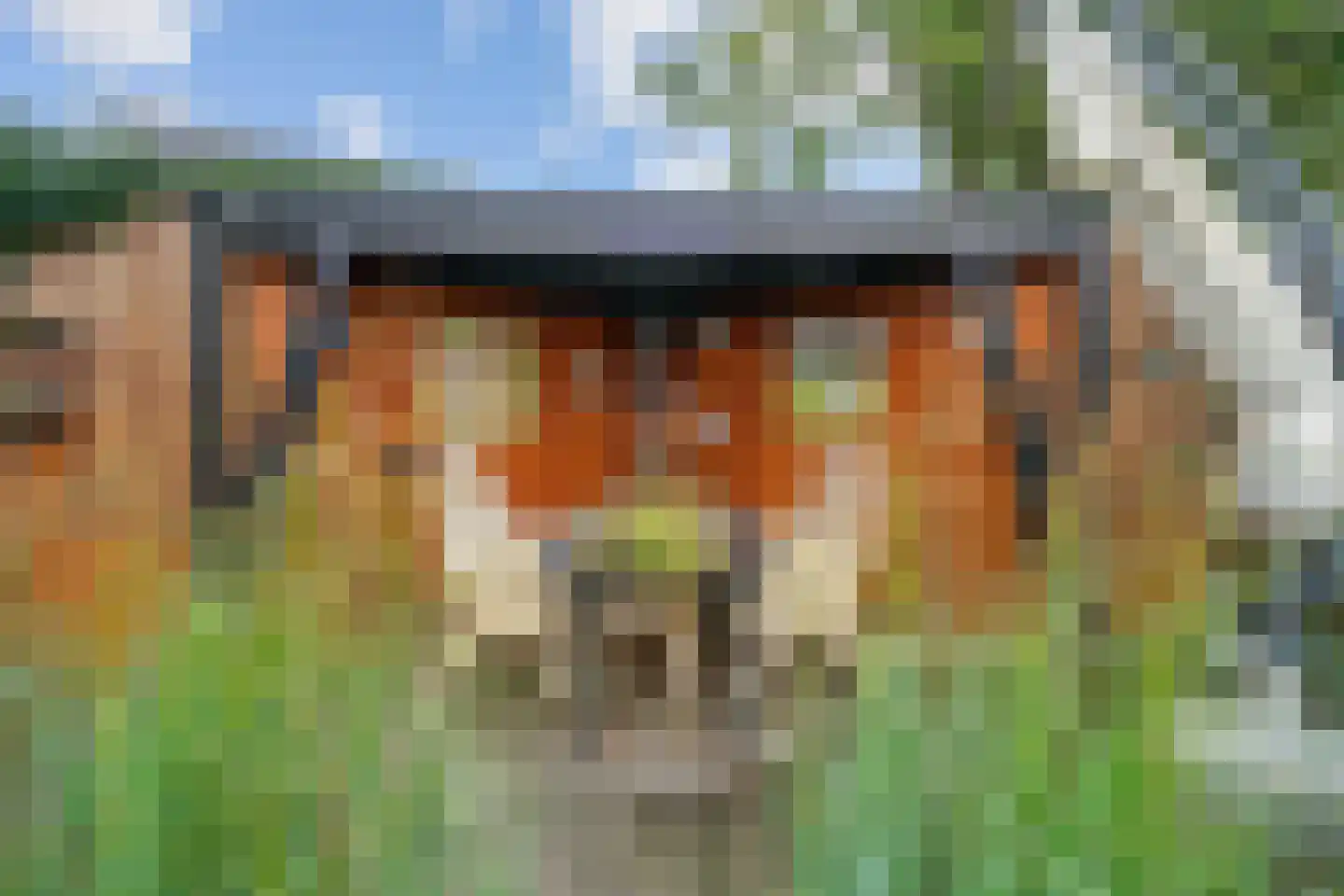 Pagenlaan 12 Limmen thumbnail 59