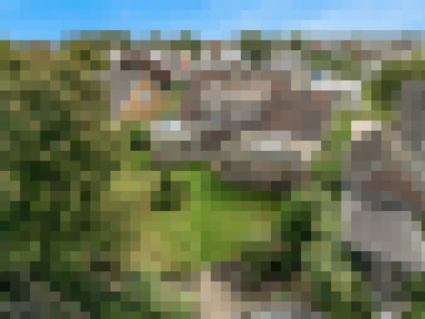 Pagenlaan 12 Limmen thumbnail 60