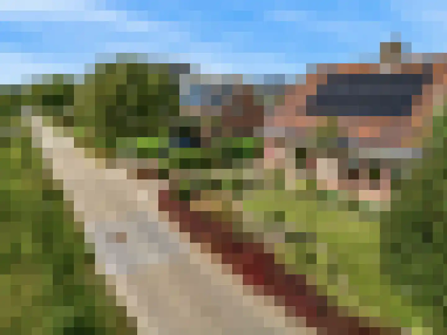 Pagenlaan 12 Limmen thumbnail 64