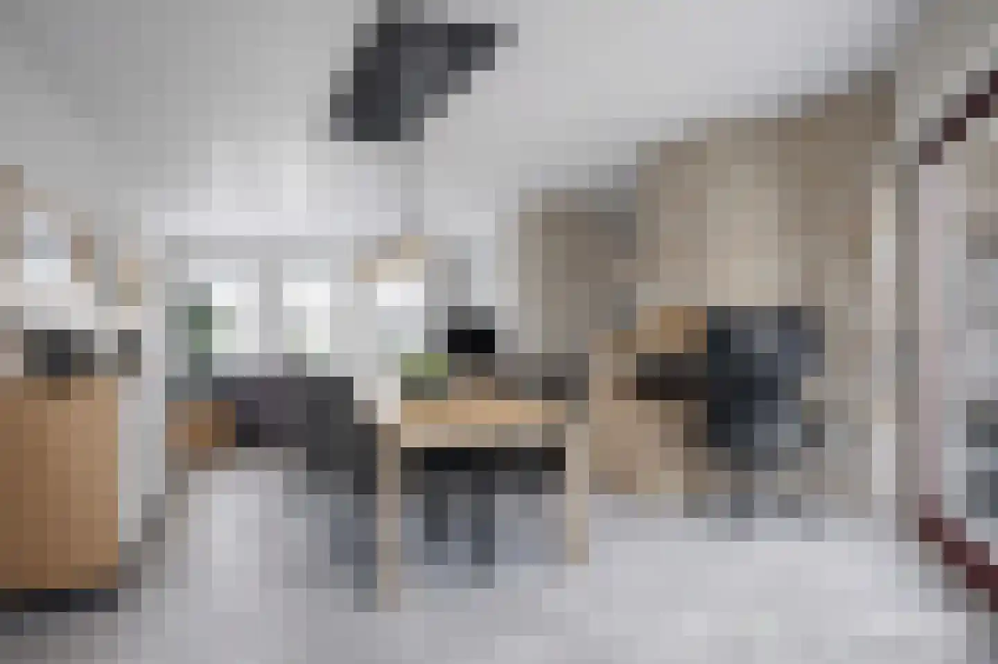 Pagenlaan 12 Limmen thumbnail 66