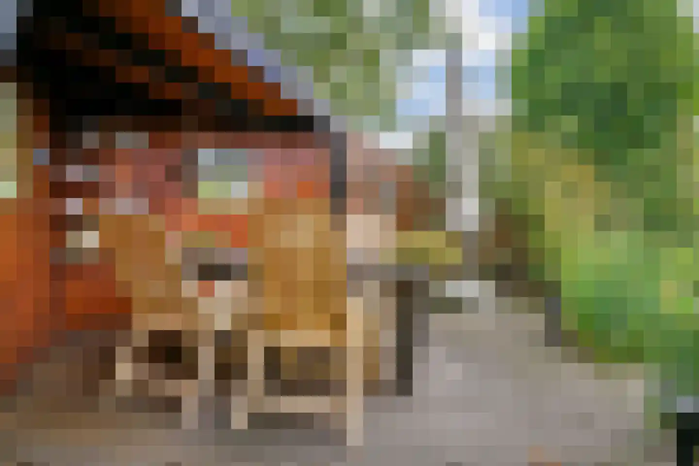 Pagenlaan 12 Limmen thumbnail 67