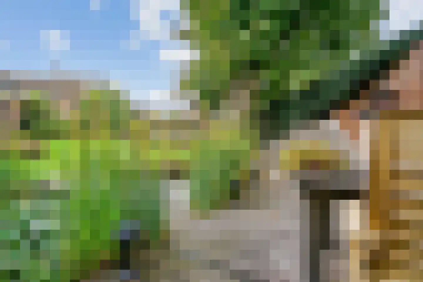 Pagenlaan 12 Limmen thumbnail 68