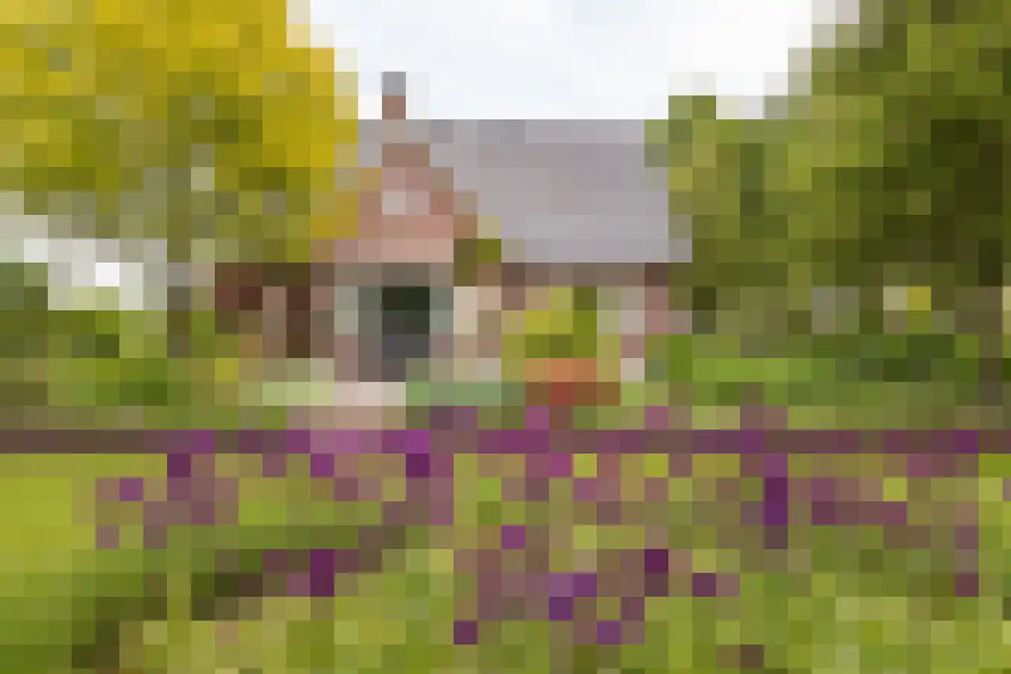 Pagertweg 1 a Neede foto 2