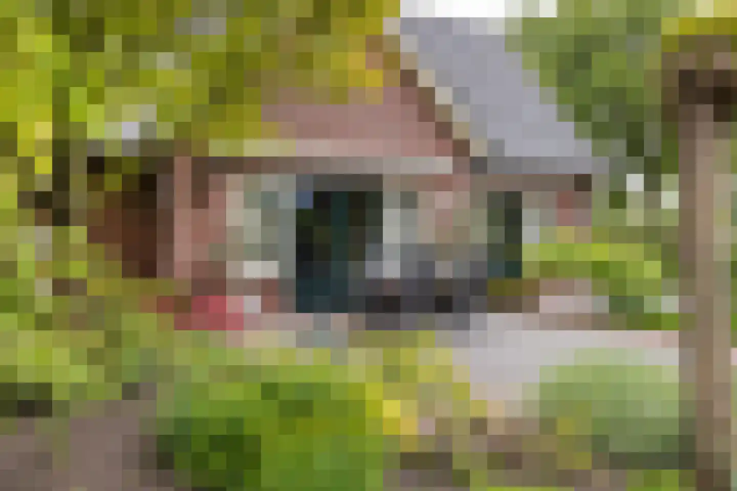Pagertweg 1 a Neede thumbnail 31