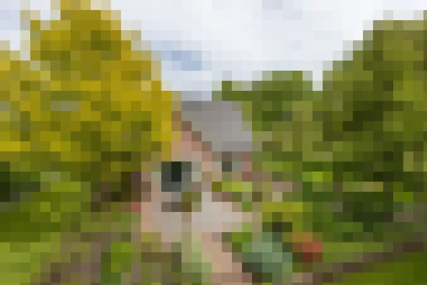 Pagertweg 1 a Neede thumbnail 36