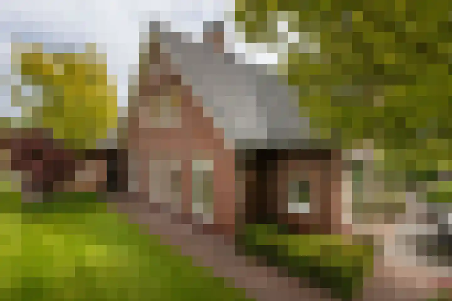 Pagertweg 1 a Neede thumbnail 37