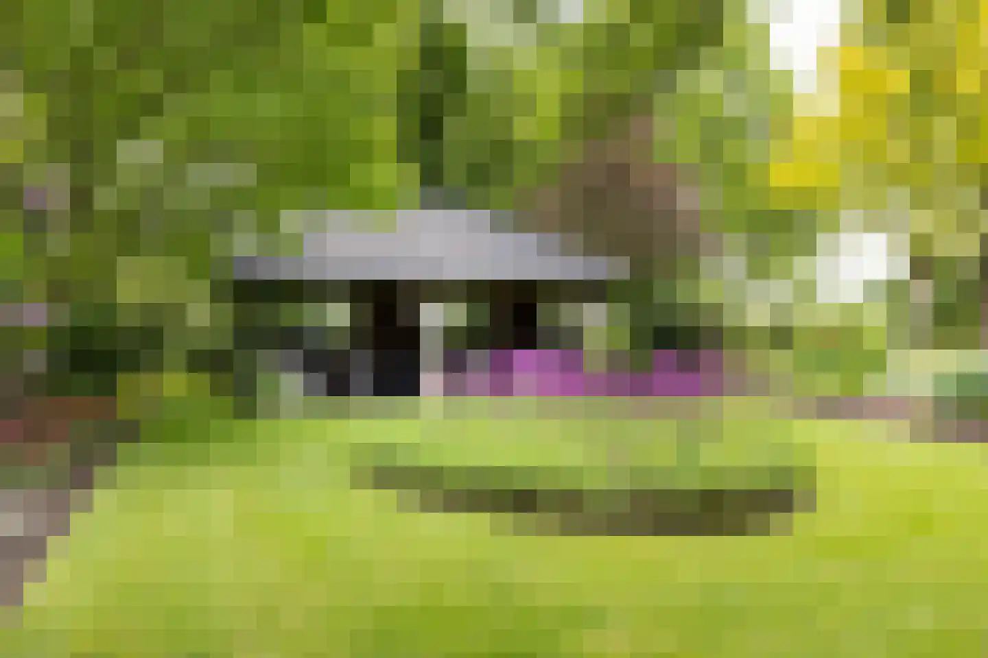 Pagertweg 1 a Neede thumbnail 4
