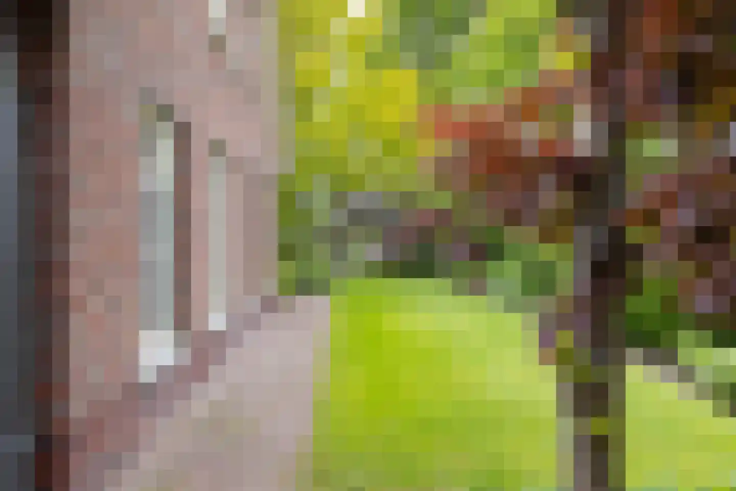 Pagertweg 1 a Neede thumbnail 41