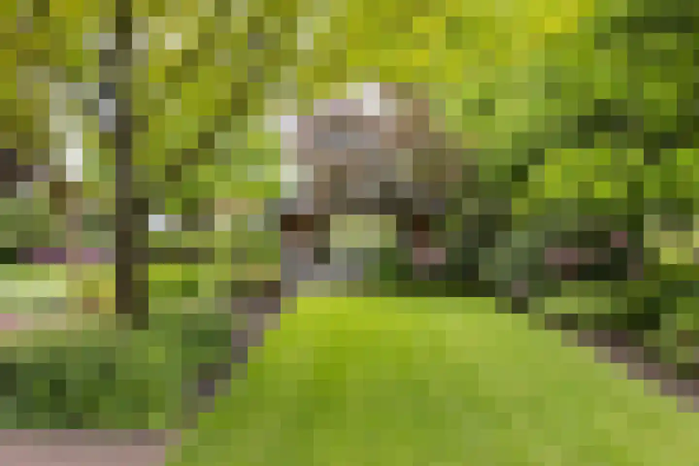 Pagertweg 1 a Neede thumbnail 42