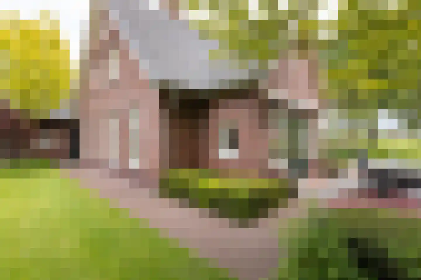 Pagertweg 1 a Neede thumbnail 43