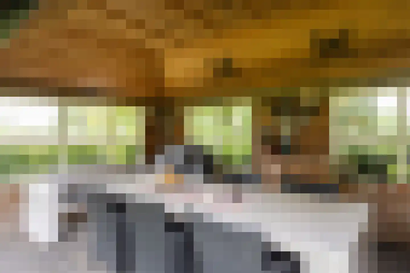 Pagertweg 1 a Neede thumbnail 44